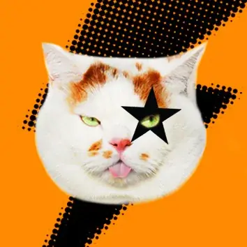 あの猫とお父さんの攻防がまさかのグッズ化　写真集『メイ先輩』特大パネルも登場 画像 9