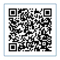 11月2日(日)乗車限定 南海電鉄から難波駅発着のデジタルきっぷをご提供!! 画像 2
