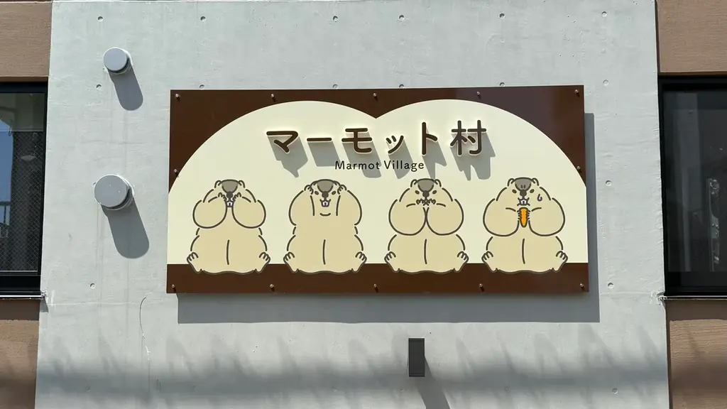 【話題沸騰】日本初のマーモット専門アニマルカフェ「マーモット村」、2号店が大阪に2025年11月グランドオープン 画像 9