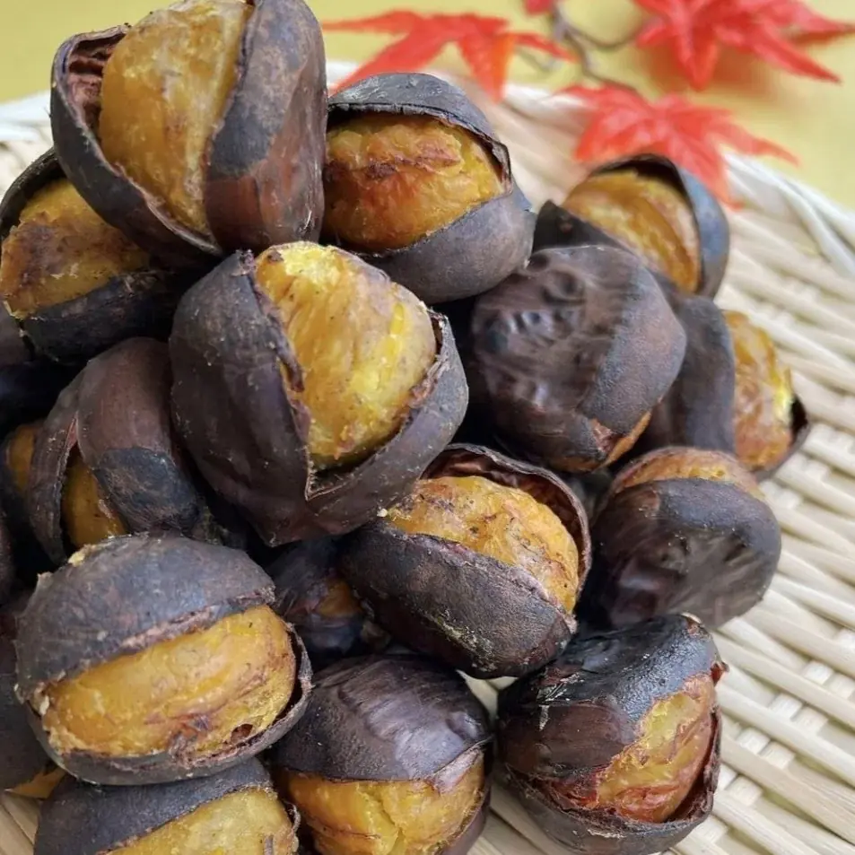 初開催決定！栗フェス in Nagoya 画像 2