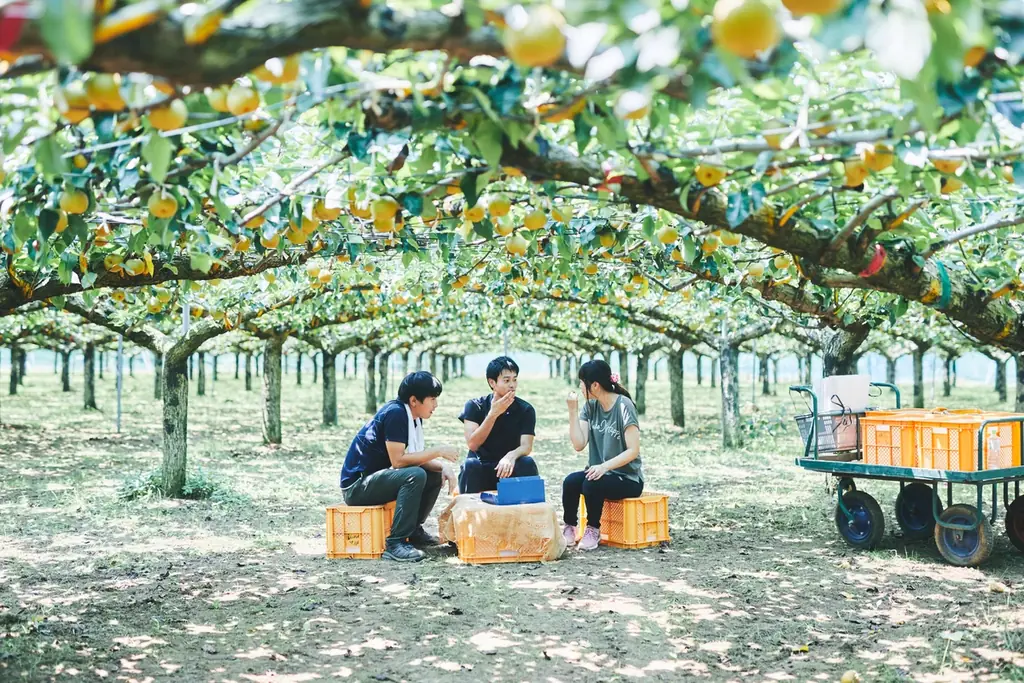 【離島から全国へ】五島列島産の有機安納芋をじっくり焼き上げた『安納芋の焼き芋 長崎県五島列島産』をスナックミーオンラインストアで期間限定発売 画像 10