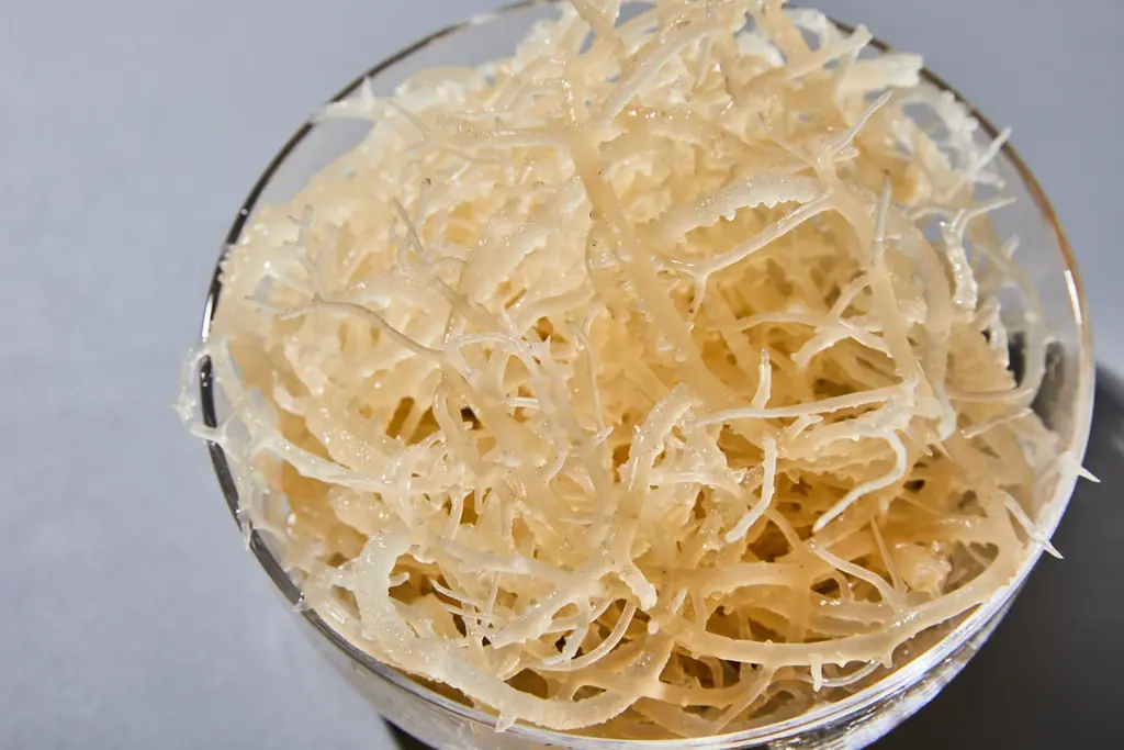 海外セレブも愛用する”海のスーパーフード”がついに日本上陸。フィリピン・パラワン島産 天然シーモスジェルで始める新しいインナーケア習慣「never seen」が11月1日より販売開始。 画像 2