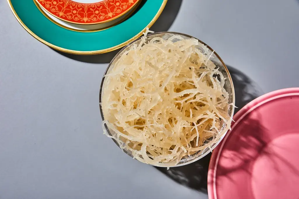 海外セレブも愛用する”海のスーパーフード”がついに日本上陸。フィリピン・パラワン島産 天然シーモスジェルで始める新しいインナーケア習慣「never seen」が11月1日より販売開始。 画像 3