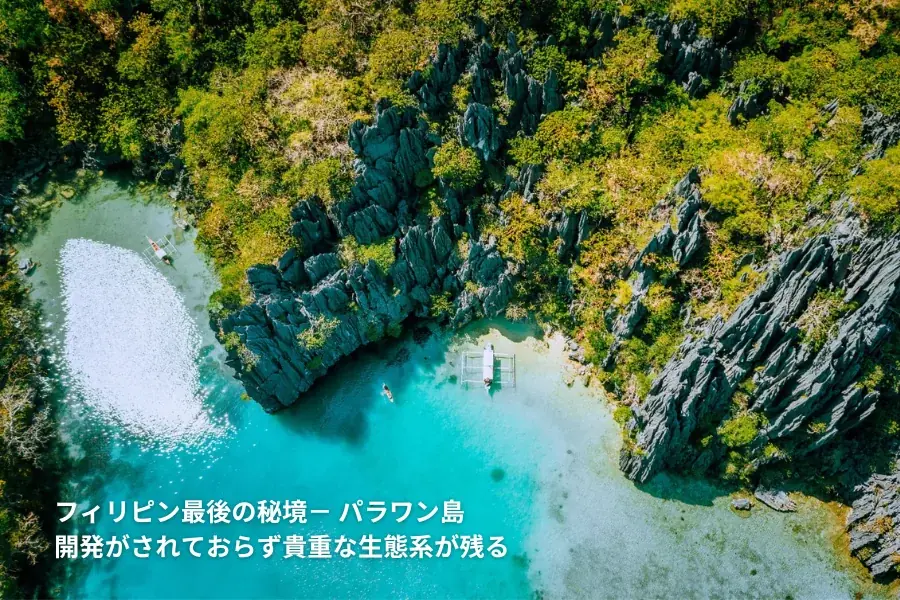 海外セレブも愛用する”海のスーパーフード”がついに日本上陸。フィリピン・パラワン島産 天然シーモスジェルで始める新しいインナーケア習慣「never seen」が11月1日より販売開始。 画像 5