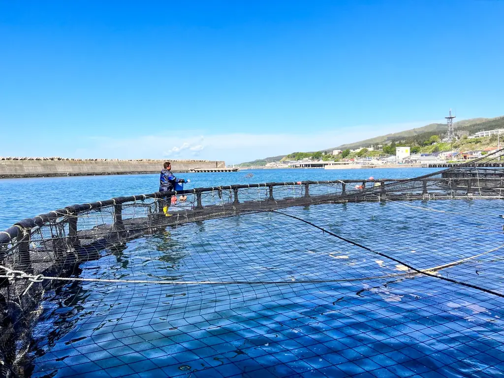 大北海道展連動!! 北海道二海(ふたみ)サーモンを使ったメニューフェアを新宿髙島屋レストランズ パークで10/22(水)～31(金)で開催。 画像 3