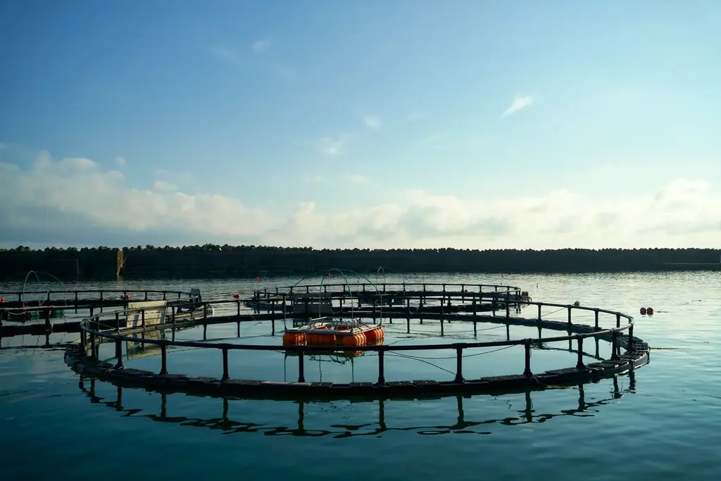 大北海道展連動!! 北海道二海(ふたみ)サーモンを使ったメニューフェアを新宿髙島屋レストランズ パークで10/22(水)～31(金)で開催。 画像 5