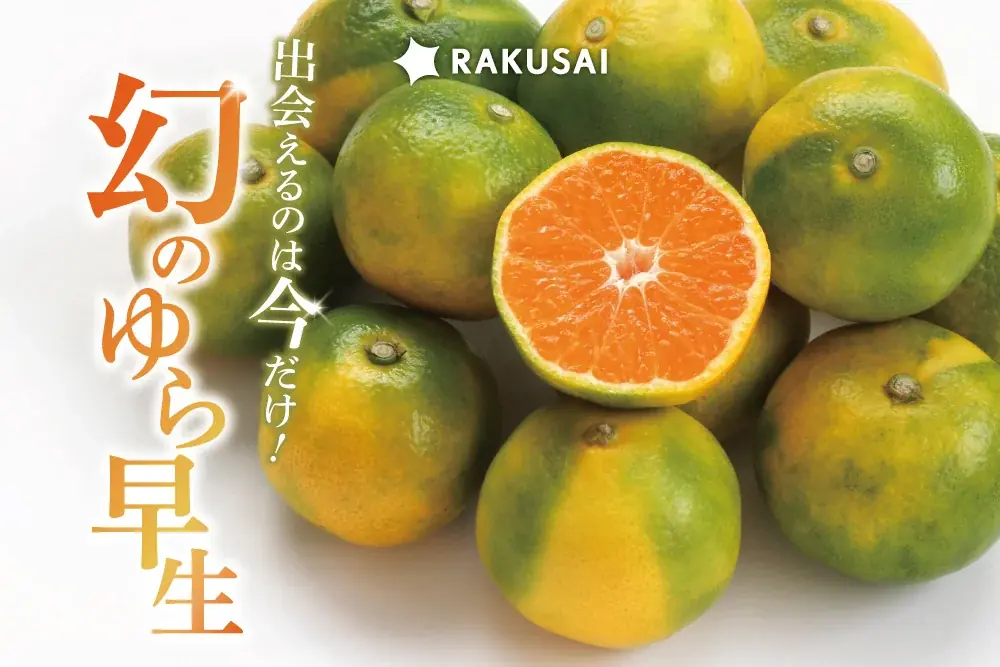 みかんシーズン到来！香川県産『ゆら早生みかん』が期間限定で登場 画像 1