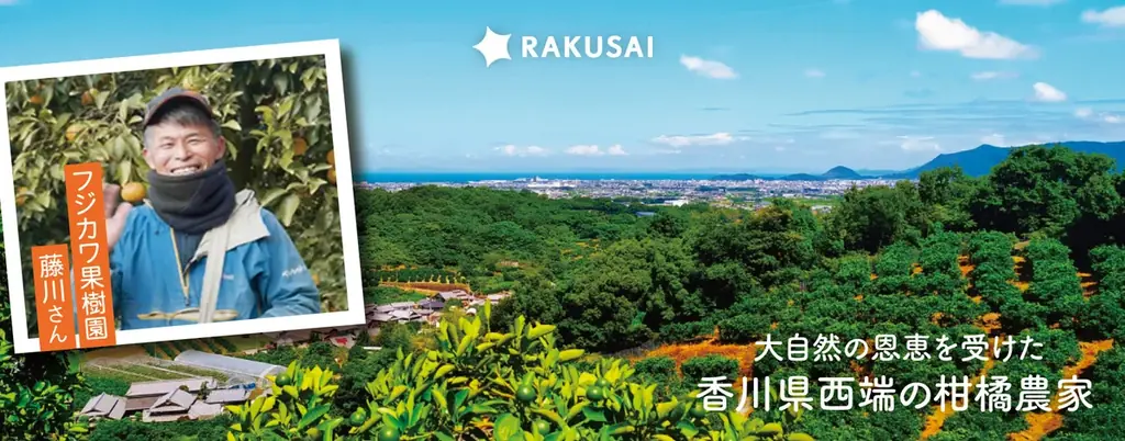 みかんシーズン到来！香川県産『ゆら早生みかん』が期間限定で登場 画像 2