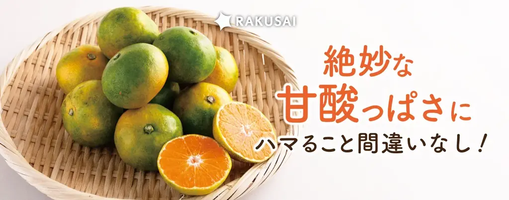 みかんシーズン到来！香川県産『ゆら早生みかん』が期間限定で登場 画像 3