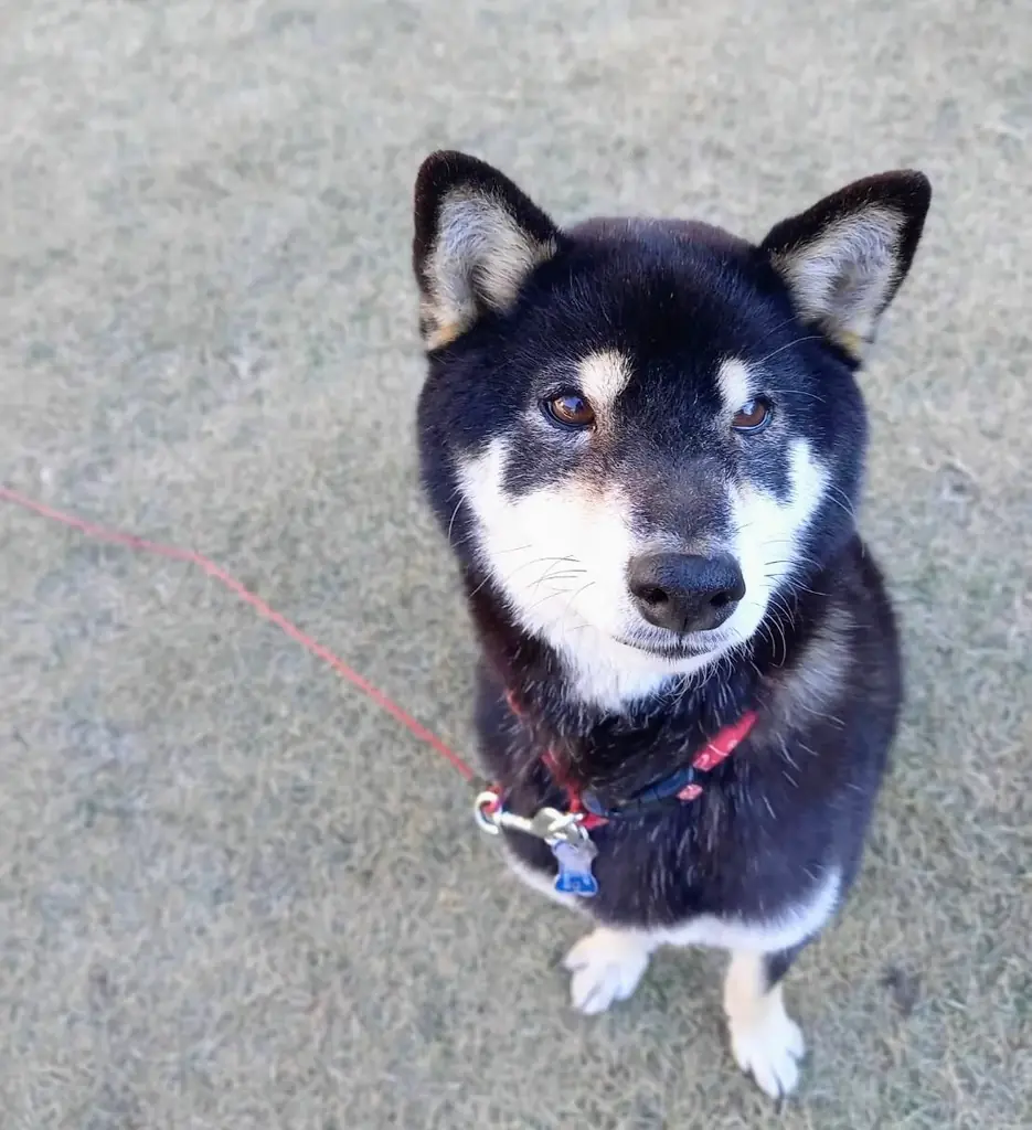 薬剤師が異世界の後宮でサバイブ！？創作大賞発の新感覚ファンタジーが、コミカライズされ連載決定 画像 2