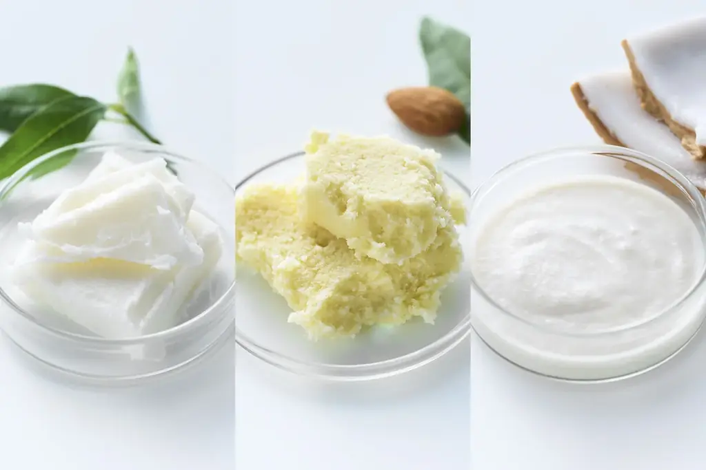 〈ジョンマスターオーガニック〉がフレグランスを監修〈BOTANIST〉のヘア＆ボディーケアの全8アイテムを11月1日限定発売　ブランド初の100%精油香料を実現、植物本来の深みを感じる上質な香り 画像 10