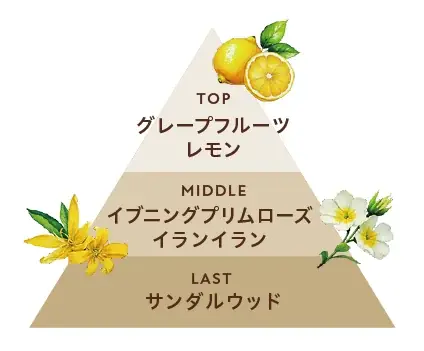 〈ジョンマスターオーガニック〉がフレグランスを監修〈BOTANIST〉のヘア＆ボディーケアの全8アイテムを11月1日限定発売　ブランド初の100%精油香料を実現、植物本来の深みを感じる上質な香り 画像 3