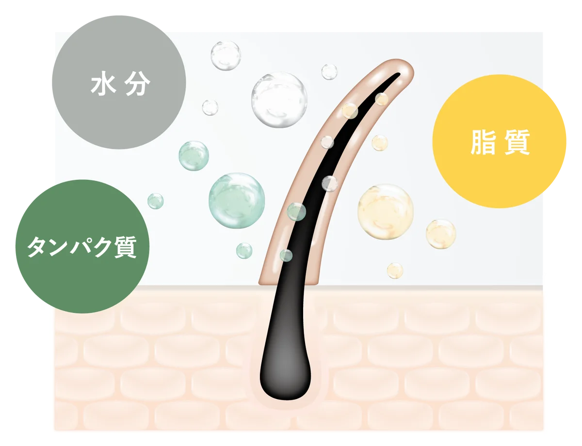 〈ジョンマスターオーガニック〉がフレグランスを監修〈BOTANIST〉のヘア＆ボディーケアの全8アイテムを11月1日限定発売　ブランド初の100%精油香料を実現、植物本来の深みを感じる上質な香り 画像 5