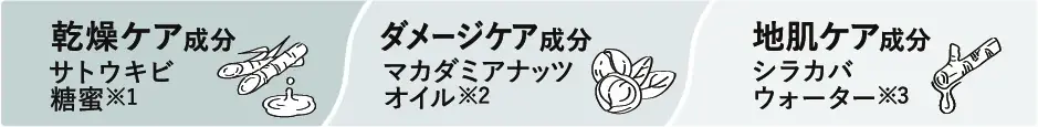 〈ジョンマスターオーガニック〉がフレグランスを監修〈BOTANIST〉のヘア＆ボディーケアの全8アイテムを11月1日限定発売　ブランド初の100%精油香料を実現、植物本来の深みを感じる上質な香り 画像 7