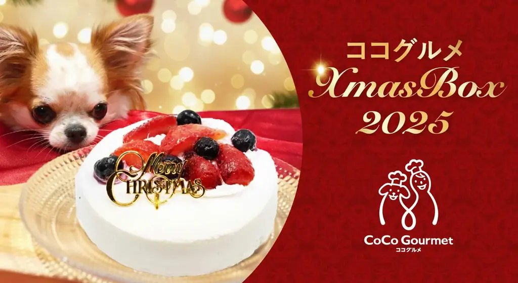ココグルメのXmas BOX 2025が予約開始　愛犬用ケーキ＆おもちゃ付