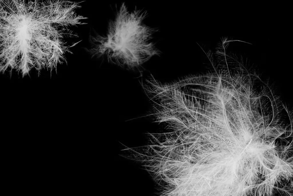 【MANOF】「TAION」と初コラボレーション。インナーダウン専業ブランドのノウハウを活かしたスペシャルなプロダクトが誕生。 画像 3