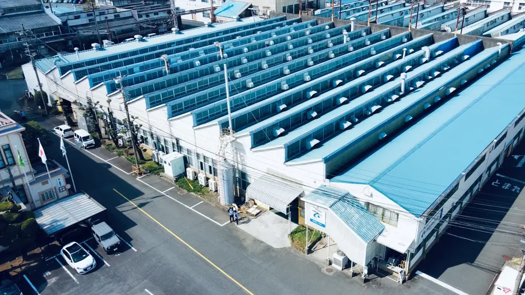 PLATO MOONSTARオープン