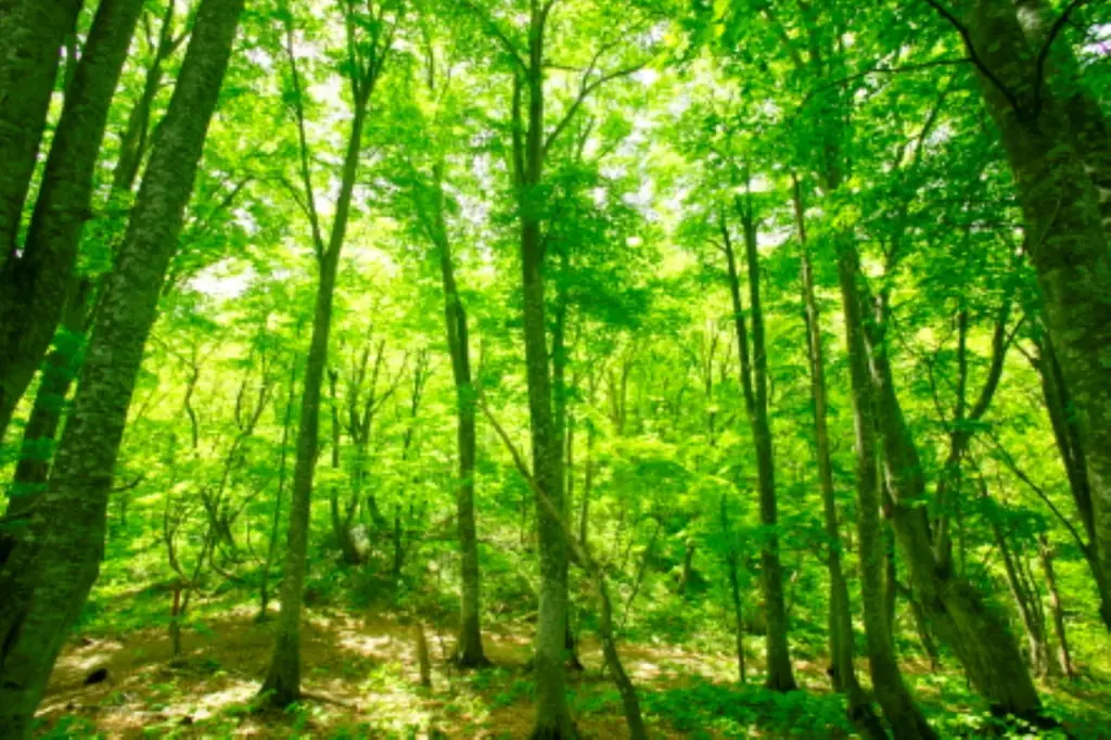 モホドリ蒸溜研究所より、青森のりんごで熟成を重ねたアップルブランデー「LOVEVADOS 檎暁 3年」を数量限定発売 —— 青森のテロワールを映す36％アップルブランデー 画像 7