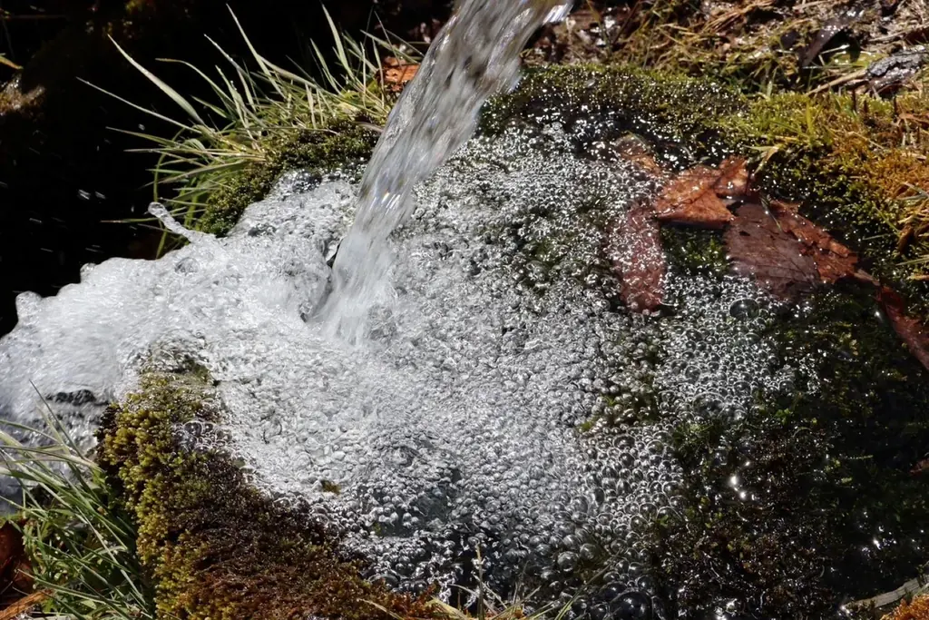 モホドリ蒸溜研究所より、青森のりんごで熟成を重ねたアップルブランデー「LOVEVADOS 檎暁 3年」を数量限定発売 —— 青森のテロワールを映す36％アップルブランデー 画像 8
