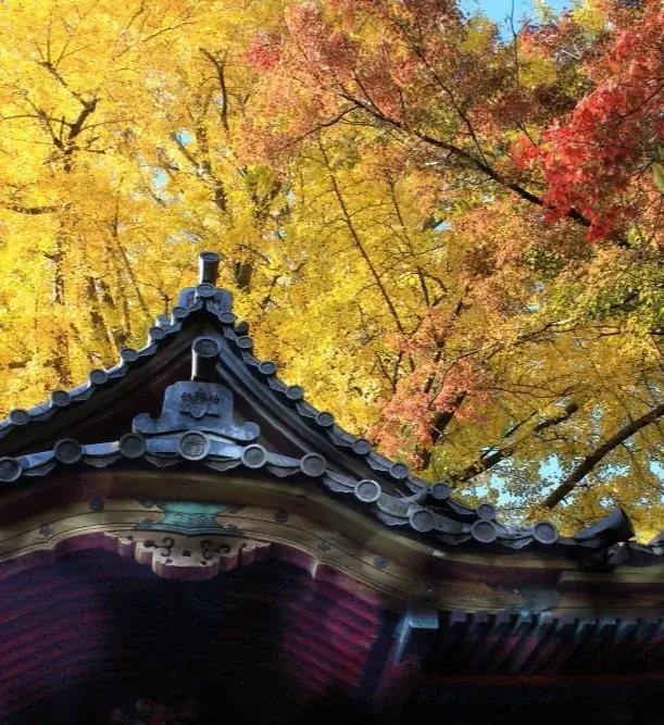 横浜・三溪園　紅葉の遊歩道開放～古建築と紅葉が織りなす絶景～ 画像 2