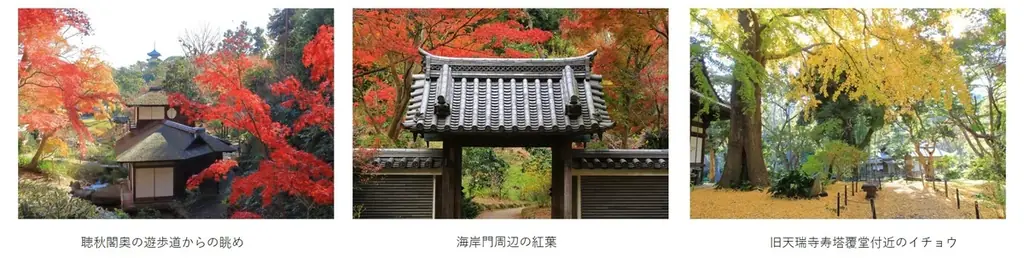横浜・三溪園　紅葉の遊歩道開放～古建築と紅葉が織りなす絶景～ 画像 3