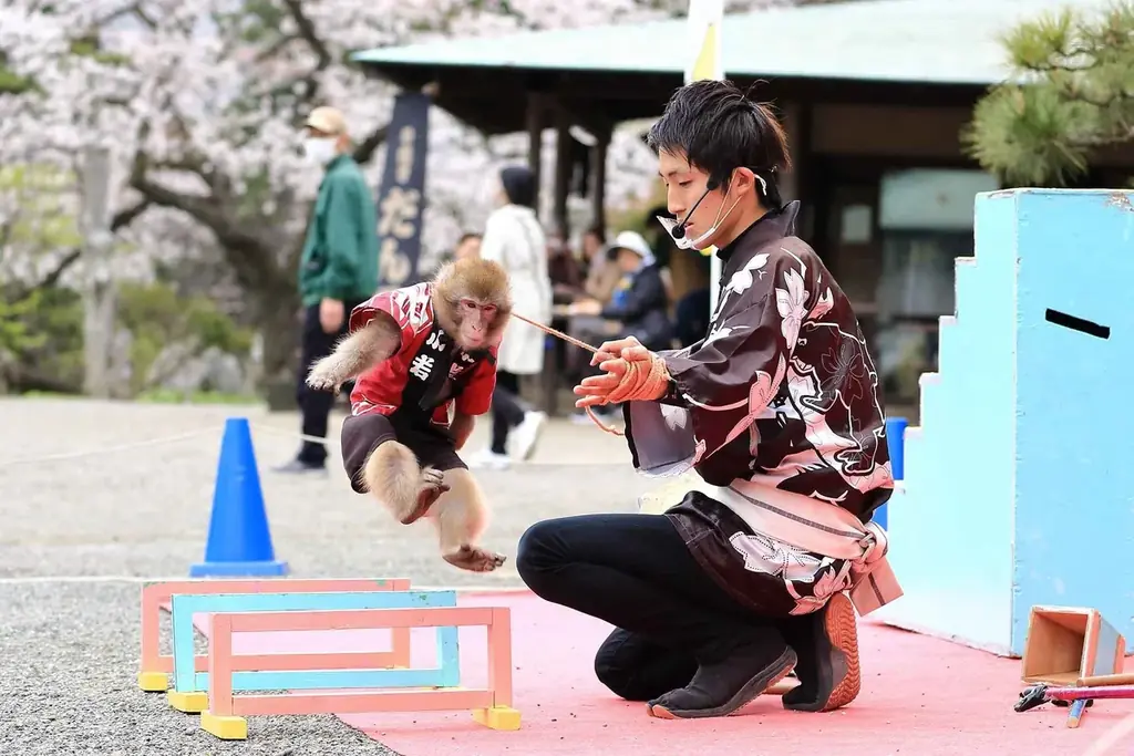 横浜・三溪園　紅葉の遊歩道開放～古建築と紅葉が織りなす絶景～ 画像 4