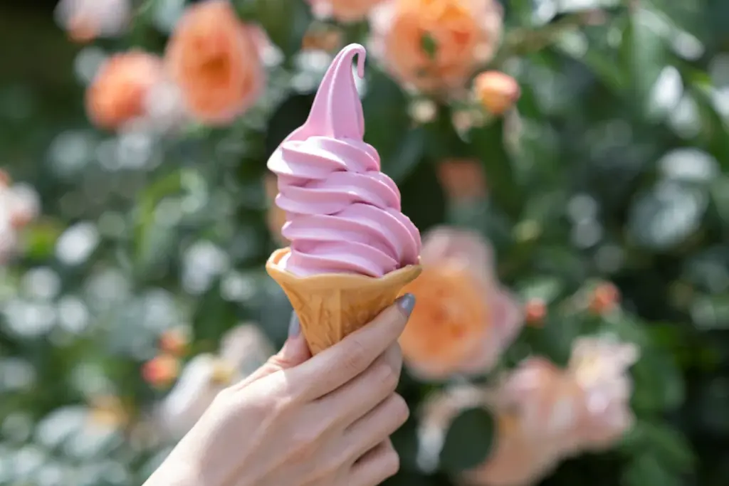 6万人超えの来場を春バラシーズンに記録した／練馬区立 四季の香ローズガーデン／豊潤な香りと深い色合いの秋バラが見ごろを迎える 画像 10