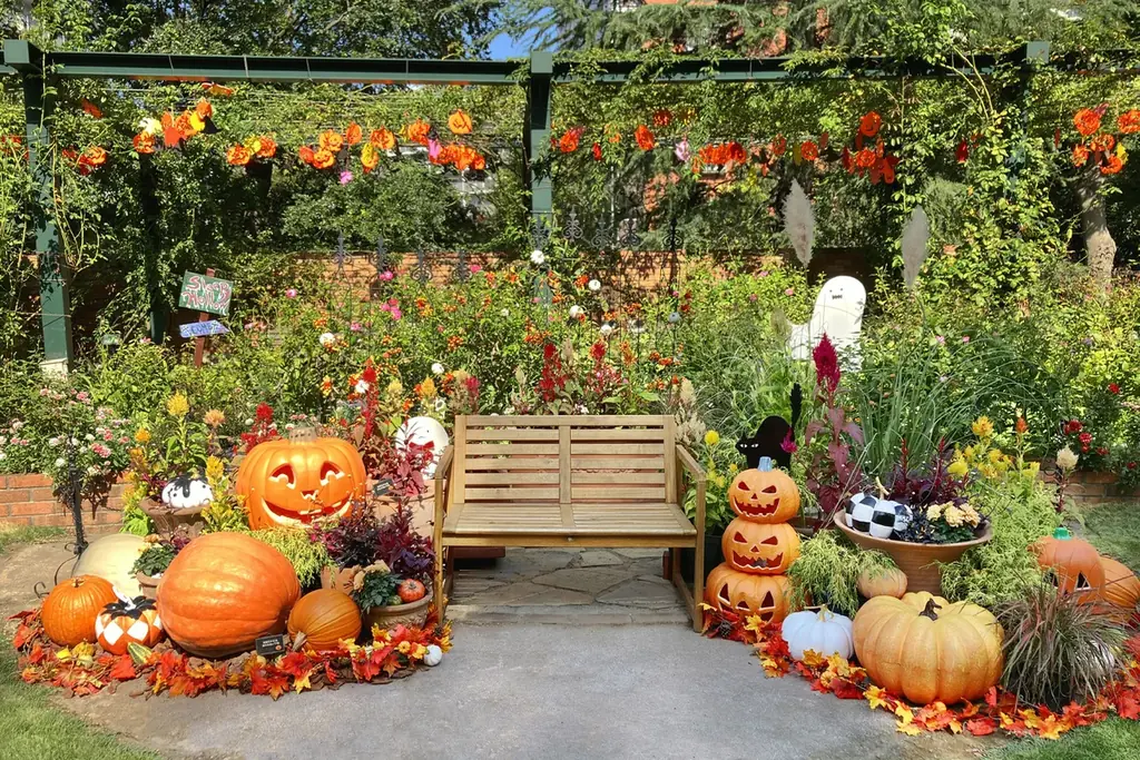 6万人超えの来場を春バラシーズンに記録した／練馬区立 四季の香ローズガーデン／豊潤な香りと深い色合いの秋バラが見ごろを迎える 画像 4