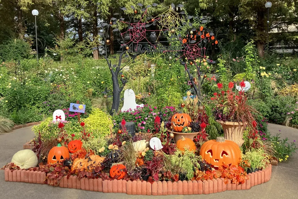 6万人超えの来場を春バラシーズンに記録した／練馬区立 四季の香ローズガーデン／豊潤な香りと深い色合いの秋バラが見ごろを迎える 画像 5