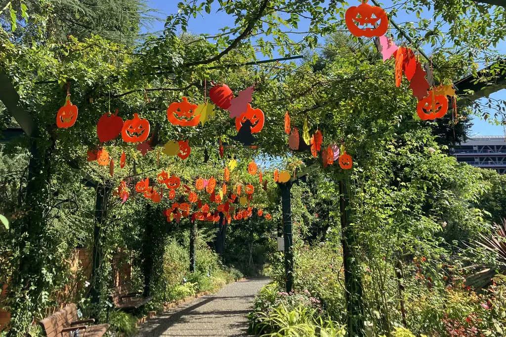 6万人超えの来場を春バラシーズンに記録した／練馬区立 四季の香ローズガーデン／豊潤な香りと深い色合いの秋バラが見ごろを迎える 画像 6