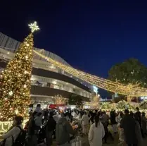 コクーンシティ（さいたま新都心）「コクーンシティ クリスマス」11/1（土）スタート　45万球の光が輝くイルミネーション開催！　　本田 望結さんによる点灯イベントやクリスマスマーケットなども実施 画像 12