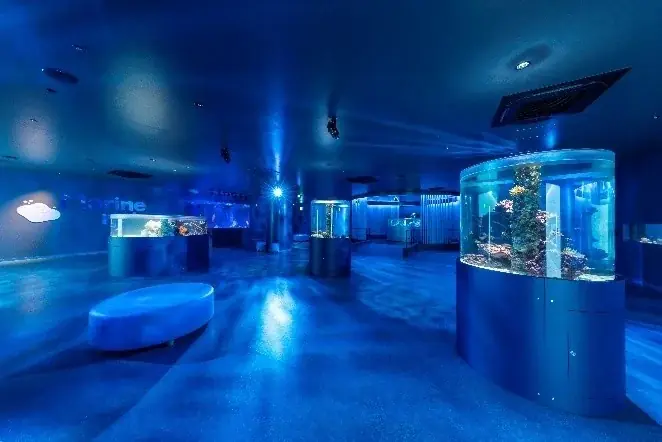 広島もとまち水族館×リーガロイヤルホテル広島水族館コラボ新メニュー企画！ 画像 2