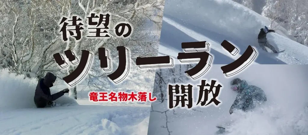 最大斜度36度、最長1,400mの非圧雪！長野県 竜王スキーパークにツリーランエリアが誕生！ 画像 1