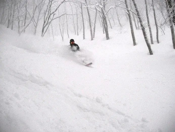 最大斜度36度、最長1,400mの非圧雪！長野県 竜王スキーパークにツリーランエリアが誕生！ 画像 2