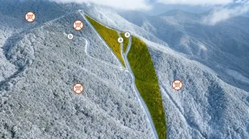 最大斜度36度、最長1,400mの非圧雪！長野県 竜王スキーパークにツリーランエリアが誕生！ 画像 4