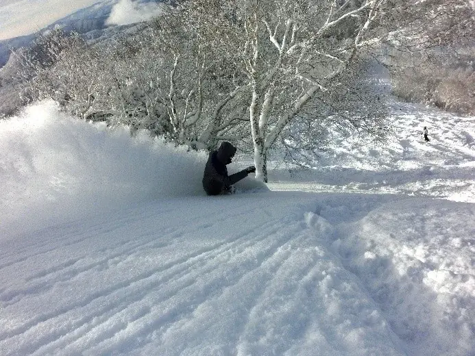 最大斜度36度、最長1,400mの非圧雪！長野県 竜王スキーパークにツリーランエリアが誕生！ 画像 5
