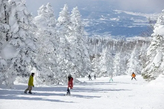 最大斜度36度、最長1,400mの非圧雪！長野県 竜王スキーパークにツリーランエリアが誕生！ 画像 6