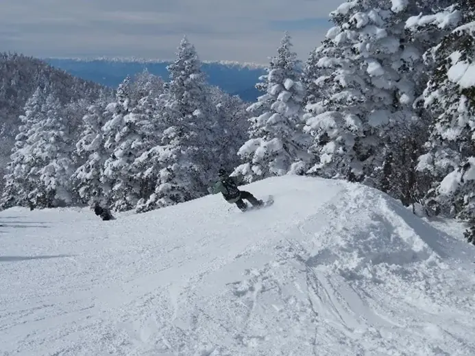 最大斜度36度、最長1,400mの非圧雪！長野県 竜王スキーパークにツリーランエリアが誕生！ 画像 7