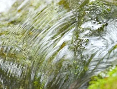 いよいよ10月24日(金)解禁！「北海道どら焼きヌーボー」。どら焼きにも旬があります。今秋収穫した新小豆を最速で餡に仕立てどら焼きにしました。 画像 5
