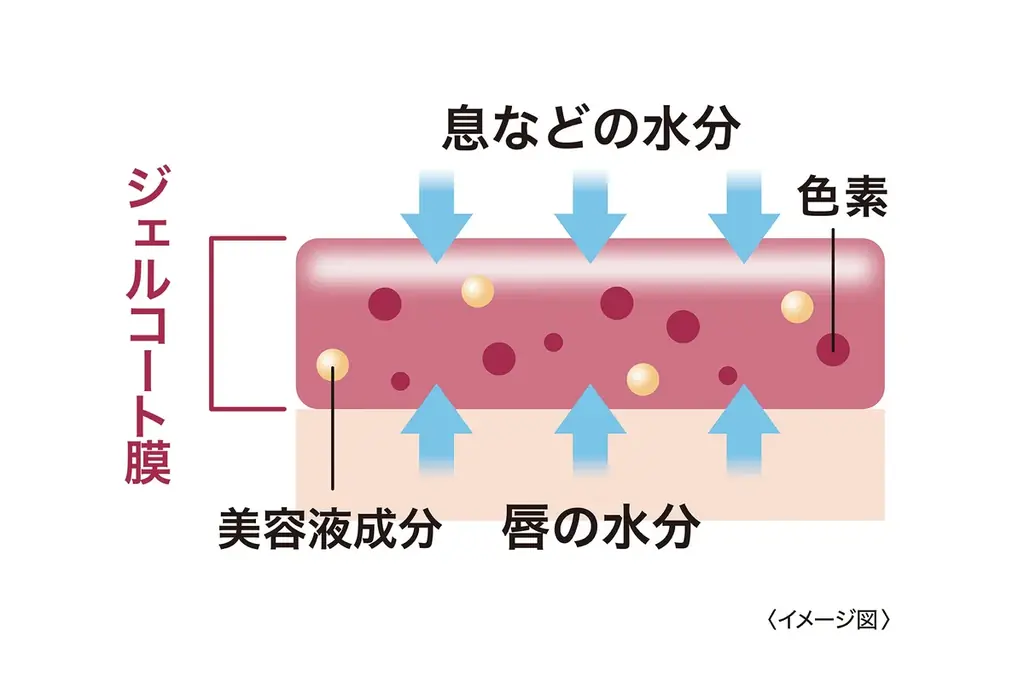 唇から、転生※1する。粘膜※2 生成ティントリップから限定色! 大人っぽく上品な血色感の深みボルドーレッド「リップガーディアン　メロウラッピングルージュL　54 レディールーナ」新発売 画像 3