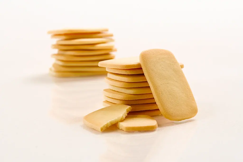 『札幌農学校 大丸札幌店』11月5日(水)オープン！累計販売3.5億枚超え！北海道土産の定番「札幌農学校 北海道ミルククッキー」誕生20周年を機に、札幌市内の百貨店に初出店！ 画像 5