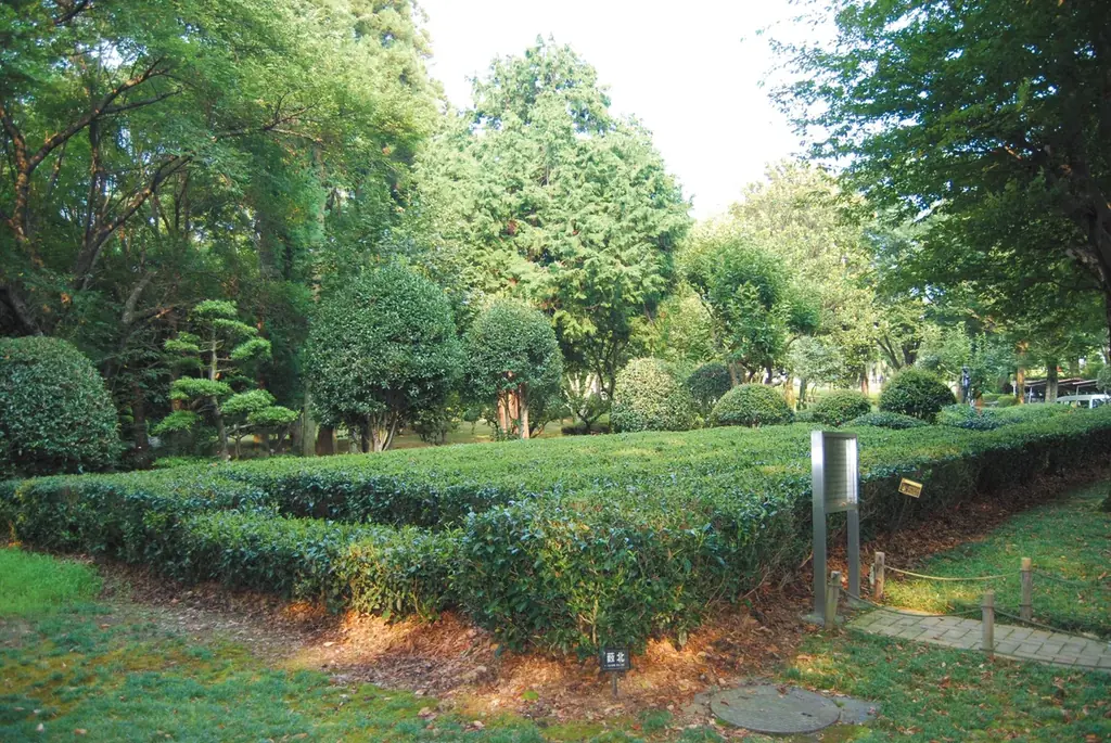 【11月１日は静岡市「お茶の日」】お茶がもらえるラッピングタクシーや静岡茶とスイーツのペアリングが楽しめるアフタヌーンティーなど静岡市内でお茶のイベントが続々開催 画像 13