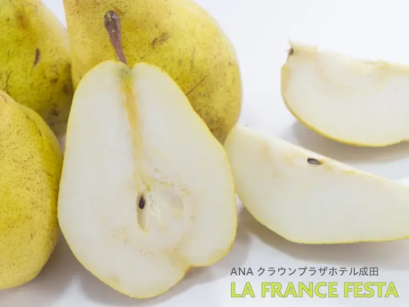 【ANAクラウンプラザホテル成田】好評につき再実施！世界中のクリスマスを堪能できるランチ&ディナービュッフェ11月1日(土)より開催。さらにチョコレートをテーマにしたアフタヌーンティーも登場。 画像 3