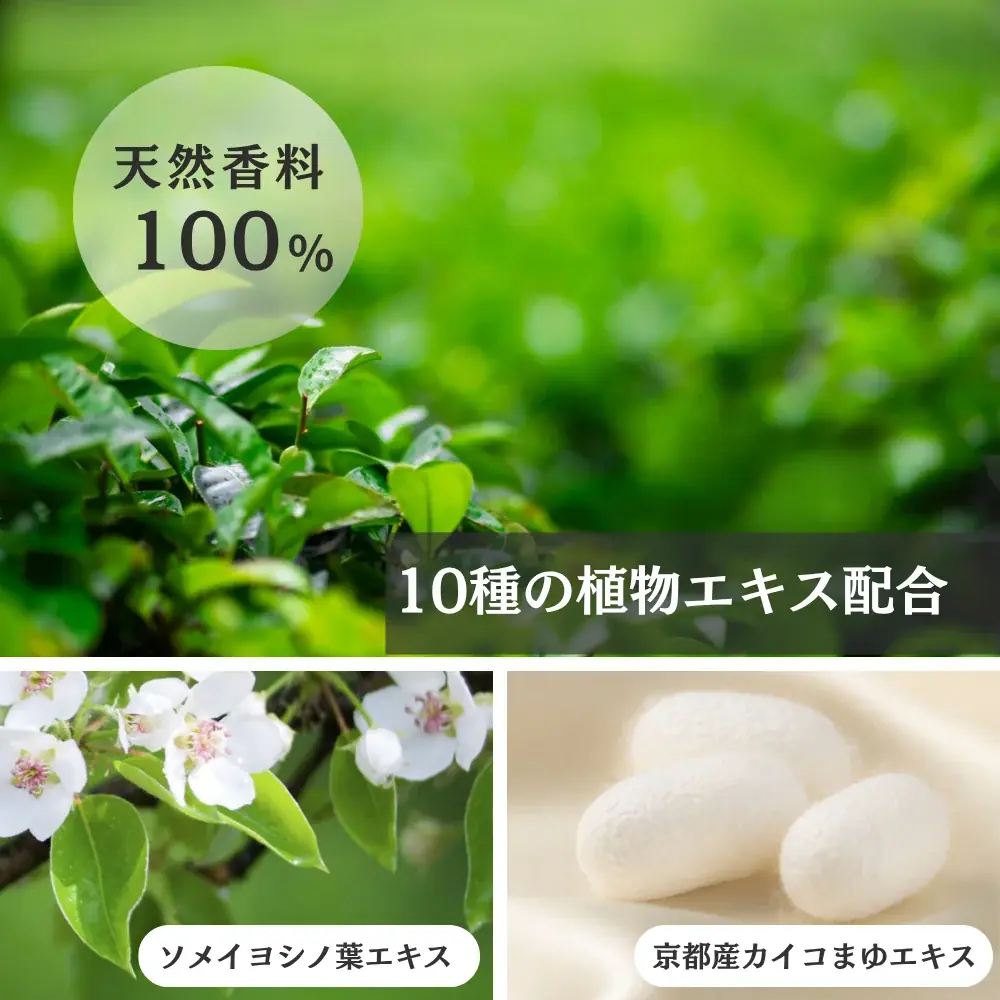 京都発 “心と手肌をととのえる”ボタニカルハンドクリーム「浄 / 禅」を新発売【ユゲキョウト】 画像 4