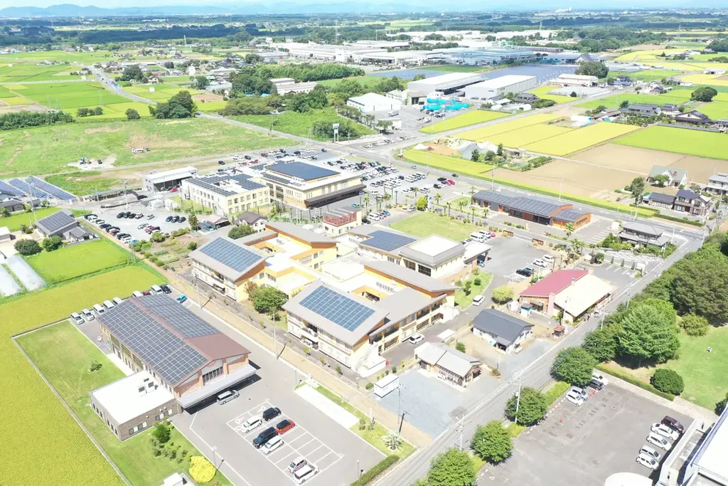 しらとりまつり2025開催！筑西市に笑顔とつながりの輪を 画像 12