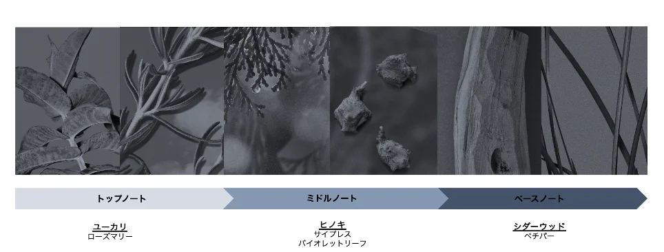 「BAUM」　数量限定スリーピング バスエッセンスが新登場。 画像 3