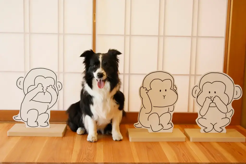 奥日光・愛犬と泊まれる旅館が【1日3室限定3大特典付きプラン】販売開始　ご夕食無料アップグレードや“愛犬用温泉スタートセット”をプレゼント 画像 11