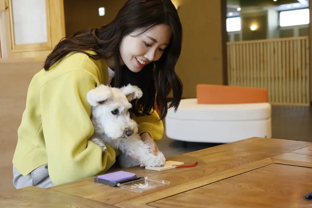 奥日光・愛犬と泊まれる旅館が【1日3室限定3大特典付きプラン】販売開始　ご夕食無料アップグレードや“愛犬用温泉スタートセット”をプレゼント 画像 3