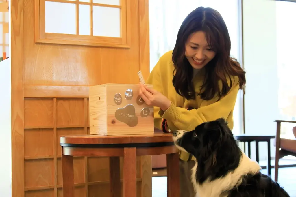 奥日光・愛犬と泊まれる旅館が【1日3室限定3大特典付きプラン】販売開始　ご夕食無料アップグレードや“愛犬用温泉スタートセット”をプレゼント 画像 5