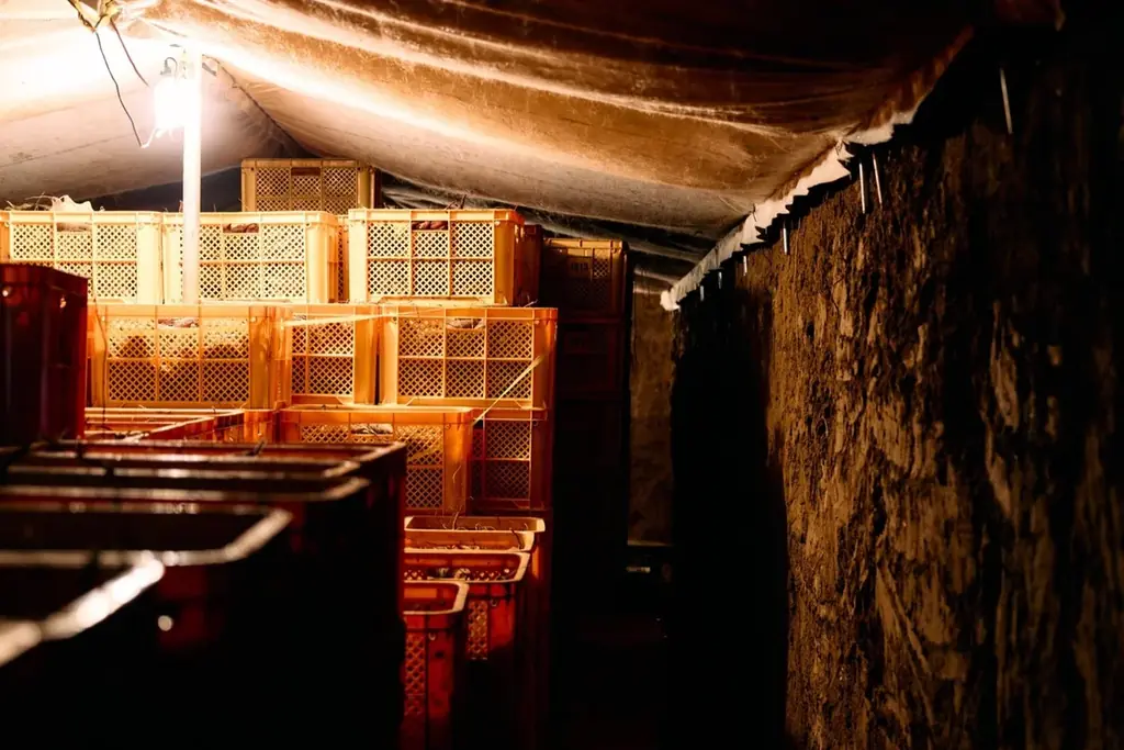 【千葉の恵みを味わうパフェ】地元食材で作る秋限定スイーツ。「芋と蔵のパフェ」cafetentoにてご提供。 画像 4